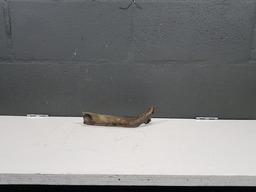 Suporte Mangueira Direção Hidraulia Citroen Xsara Picasso