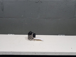 RESISTENCIA VENTOINHA RADIADOR PEUGEOT 307
