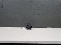 RESISTENCIA VENTOINHA RADIADOR PEUGEOT 307