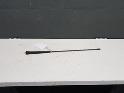 Haste Antena Radio Citroen C4 Hatch