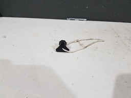 Trava Porca Lanterna Traseira Renault