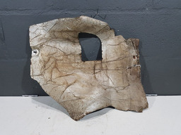 Carpe Parede Corta Fogo Citroen C8 2004