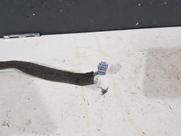 CHICOTE BOTÃO PILOTO AUTOMATICO RENAULT FLUENCE