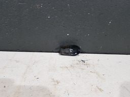 ACABAMENTO BRAÇO LIMPADOR PARA BRISAS RENAULT KANGOO 2001