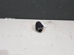 BOMBA PARTIDA FRIO DUSTER-LOGAN-C3-C4-CLIO-206-207-307