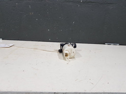 MOTOR BOMBA D AGUA LIMPADOR PARA BRISA PEUGEOT 307 2007