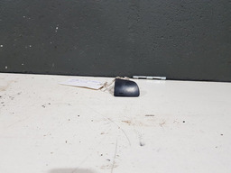 Acabamento Botao Falso Acabamento Peugeot 307 2007