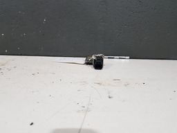 ACABAMENTO BOTAO FALSO ACABAMENTO PEUGEOT 307 2007