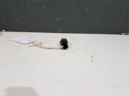 SENSOR TEMPERATURA AGUA RENAULT KANGOO 1.0 8V 2001