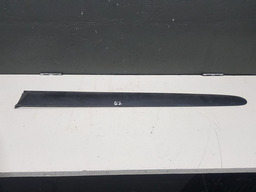 Friso Porta Traseira Direita Renault Megane 2003