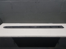 FRISO PORTA DIANTEIRO ESQUERDO RENAULT CLIO