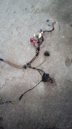 CHICOTE INTERNO LANTERNAS TRASEIRAS PEUGEOT 206 1.6 2004