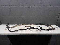 Chicote Tampa Porta Malas Renault Kangoo 2001