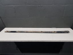 FRISO PORTA DIANTEIRA DIREITA RENAULT MEGANE 2005