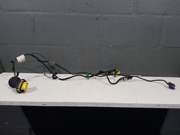 CHICOTE PORTA DIANTEIRA ESQUERDA CITROEN C4 HATCH 2010