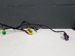 CHICOTE PORTA DIANTEIRA ESQUERDA CITROEN C4 HATCH 2010