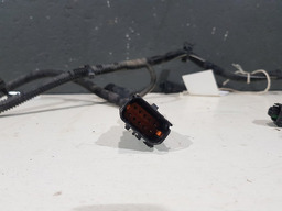 CHICOTE LUZ NEBLINA SENSOR RÉ LUZ PLACA CITROEN C4 PICASSO