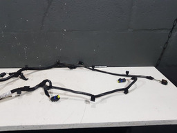 CHICOTE SENSOR RÉ LUZ PLACA CITROEN C3 2013