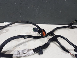 CHICOTE SENSOR RÉ LUZ PLACA CITROEN C3 2013