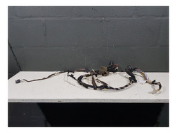 CHICOTE PORTA DIANTEIRA ESQUERDA RENAULT SANDERO 2016