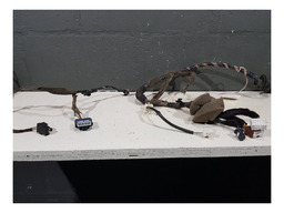 CHICOTE PORTA DIANTEIRA ESQUERDA RENAULT SANDERO 2016