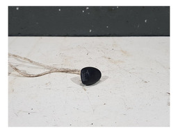 PAR DE BRUCUTU ESGUICHO AGUA CAPO DIANTEIRO CITROEN C3 2013