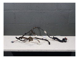 CHICOTE PORTA TRASEIRA ESQUERDA RENAULT SANDERO 2016