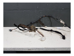 CHICOTE PORTA TRASEIRA ESQUERDA RENAULT SANDERO 2016