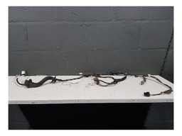 CHICOTE PORTA DIANTEIRA DIREITA RENAULT DUSTER 2016