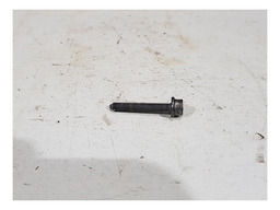 PARAFUSOS MANCAL EIXO COMANDO MOTOR CITROEN 2.0 16V 24 UNID.