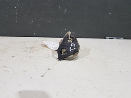 BATENTE PORTA TRASEIRA DIREITA RENAULT KANGOO 2001