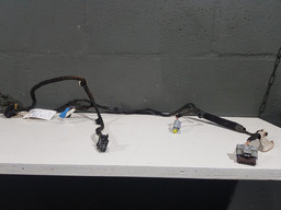 CHICOTE PORTA DIANTEIRA DIREITA CITROEN C3 2013