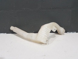 Gargalo Reservatorio Agua Para Brisa Citroen C3 2013