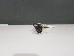 VALVULA VVT SOLENOIDE CITROEN C3 2013 1.6 16V AUTOMATICO