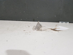 LUZ CORTEZIA PORTA LUVAS RENAULT FLUENCE 2014