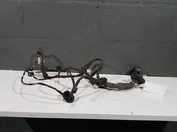 CHICOTE PORTA DIANTEIRA DIREITA RENAULT FLUENCE 2014