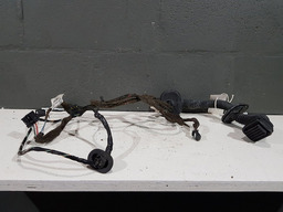 CHICOTE PORTA DIANTEIRA DIREITA RENAULT FLUENCE 2014