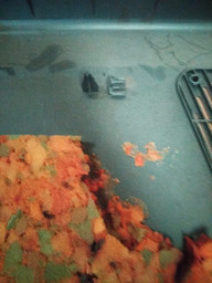 ACABAMENTO TAMPA TRASEIRA PORTA MALAS PEUGEOT 306 SW DETALHE