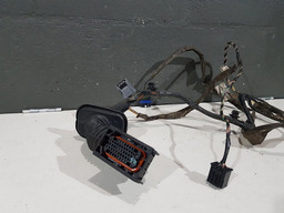 CHICOTE PORTA DIANTEIRA DIREITA RENAULT MEGANE GRAND TOUR