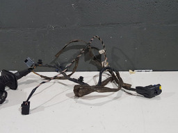 CHICOTE PORTA DIANTEIRA DIREITA RENAULT MEGANE GRAND TOUR