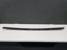 FRISO PORTA TRASEIRA DIREITA PEUGEOT 306 1995 COM DETALHE