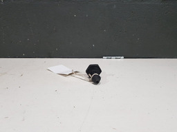 PARAFUSO TRAVA CAPO DIANTEIRO RENAULT MEGANE GRAND TOUR 2009