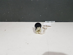 TOMADA 12V RENAULT FLUENCE 2014