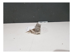 LUZ CORTEZIA PEUGEOT 207 PASSION 2011