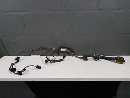 Chicote Porta Traseira Esquerda Renault Fluence 2014