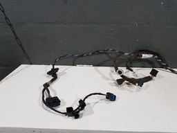 CHICOTE PORTA TRASEIRA ESQUERDA RENAULT FLUENCE 2014