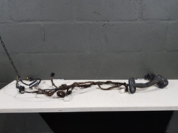 CHICOTE PORTA DIANTEIRA ESQUERDA RENAULT FLUENCE 2014