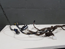 CHICOTE PORTA DIANTEIRA ESQUERDA RENAULT FLUENCE 2014