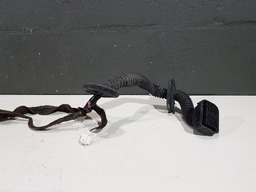 CHICOTE PORTA DIANTEIRA ESQUERDA RENAULT FLUENCE 2014