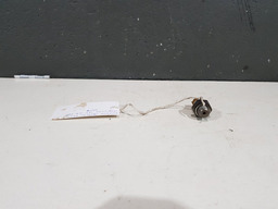 SENSOR PRESSÃO OLEO MOTOR RENAULT MEGANE GRAND TOUR 2009